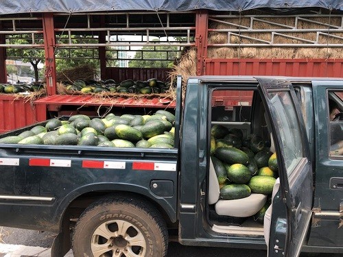 行善最樂，端午之際赫茲曼電力扶貧獻(xiàn)愛心