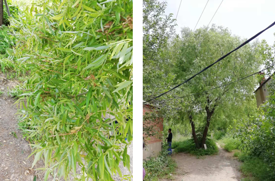 電氣事故引發(fā)加州山火，據(jù)說這個裝置可以避免事故發(fā)生！