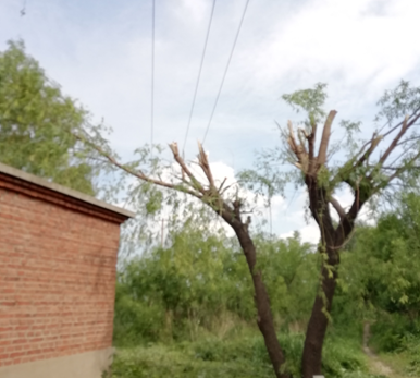 電氣事故引發(fā)加州山火，據(jù)說這個裝置可以避免事故發(fā)生！