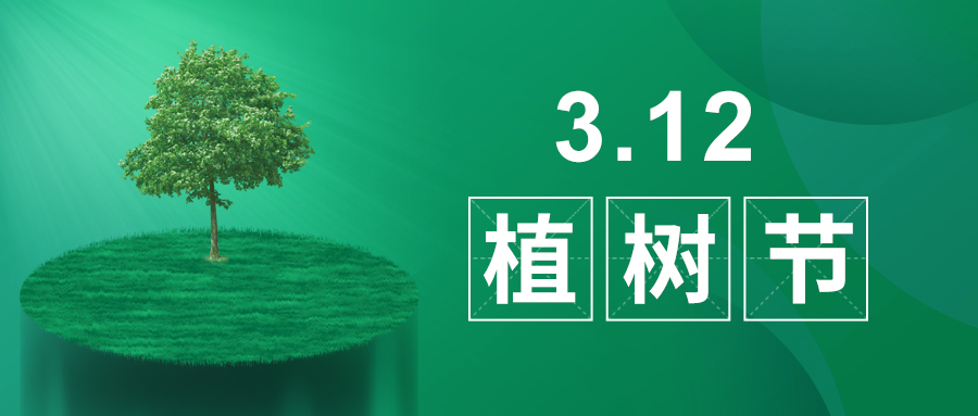 3.12植樹節(jié)|除了植樹，我們還能做什么？